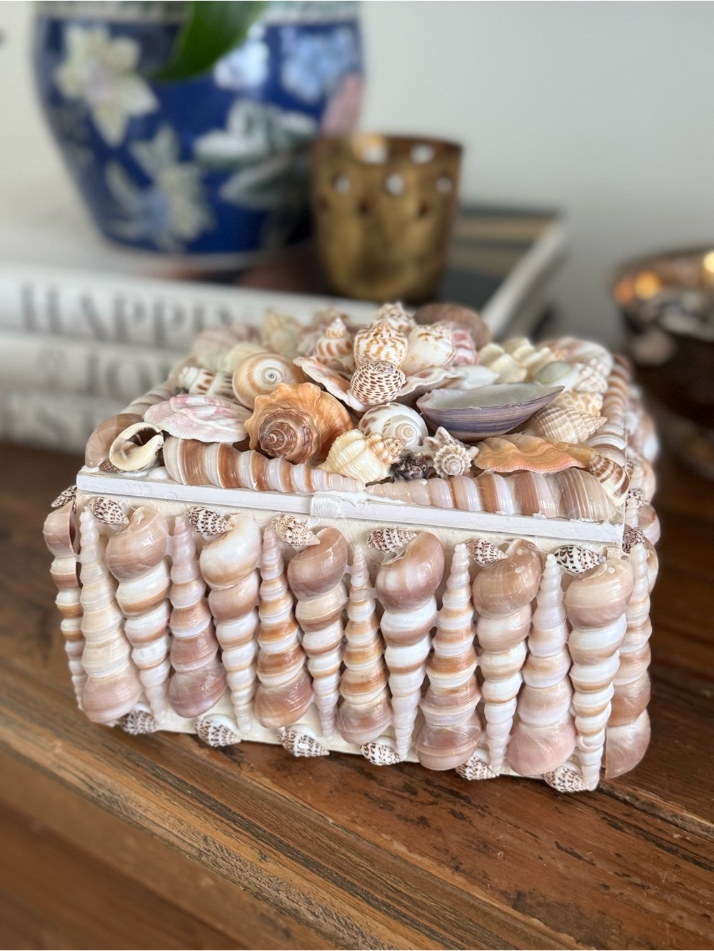 Seashell Decorative Jewelry Box in Natural Beige and Tan